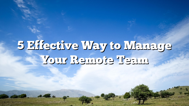5 Effective Way to Manage Your Remote Team
