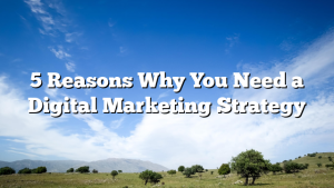 5 Reasons Why You Need a Digital Marketing Strategy