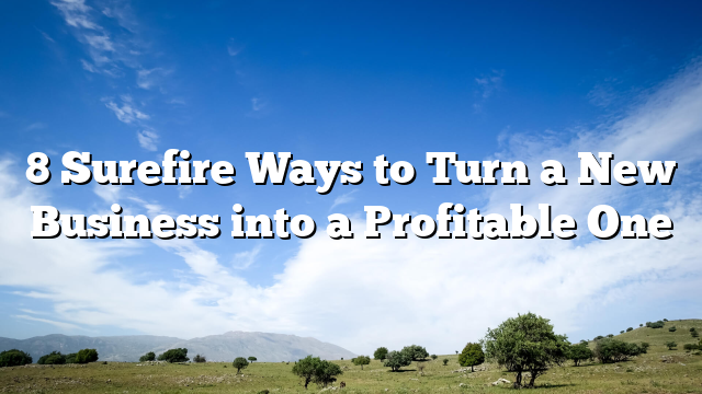 8 Surefire Ways to Turn a New Business into a Profitable One
