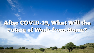 After COVID-19, What Will the Future of Work-from-Home?