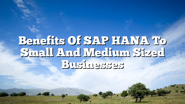Benefits Of SAP HANA To Small And Medium Sized Businesses