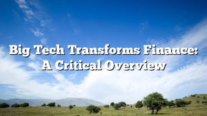Big Tech Transforms Finance: A Critical Overview