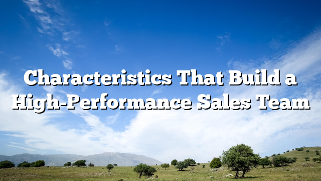 Characteristics That Build a High-Performance Sales Team