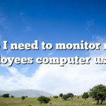 Do I need to monitor my employees computer usage?