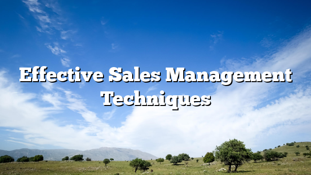 Effective Sales Management Techniques