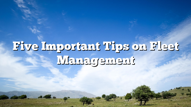 Five Important Tips on Fleet Management