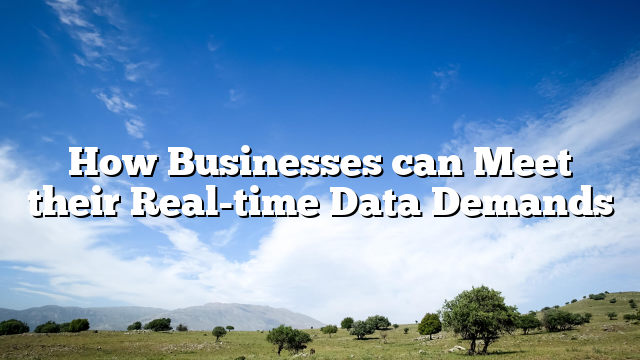 How Businesses can Meet their Real-time Data Demands