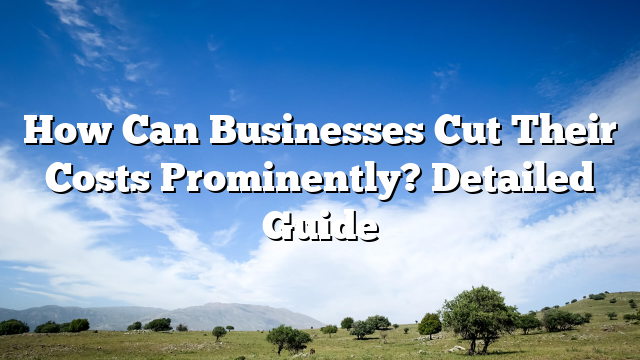 How Can Businesses Cut Their Costs Prominently? Detailed Guide