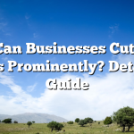 How Can Businesses Cut Their Costs Prominently? Detailed Guide
