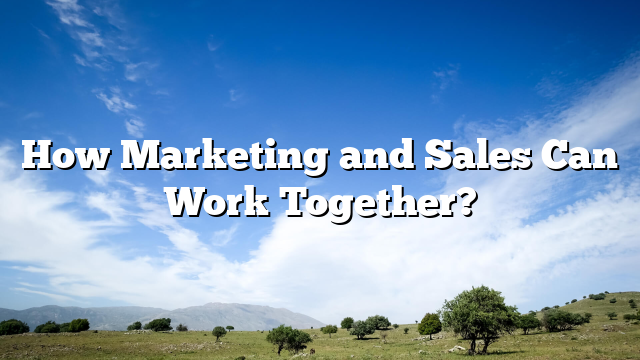 How Marketing and Sales Can Work Together?