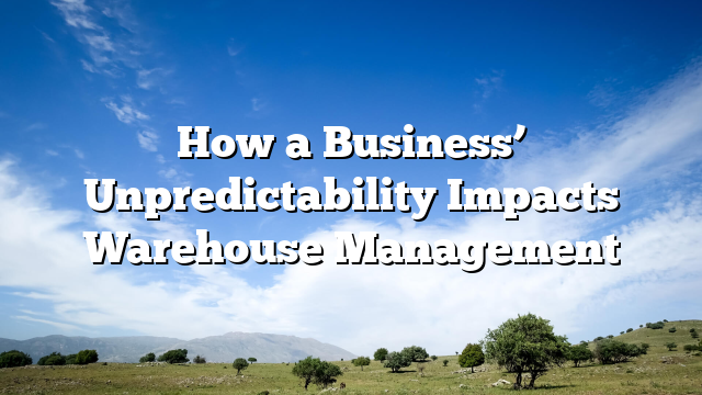 How a Business’ Unpredictability Impacts Warehouse Management