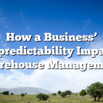 How a Business’ Unpredictability Impacts Warehouse Management
