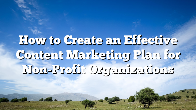 How to Create an Effective Content Marketing Plan for Non-Profit Organizations