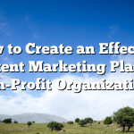 How to Create an Effective Content Marketing Plan for Non-Profit Organizations