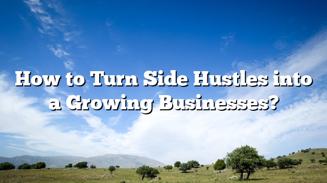 How to Turn Side Hustles into a Growing Businesses?