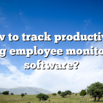 How to track productivity using employee monitoring software?