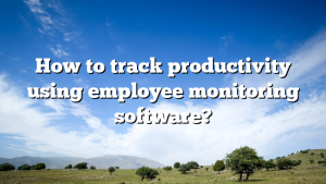 How to track productivity using employee monitoring software?