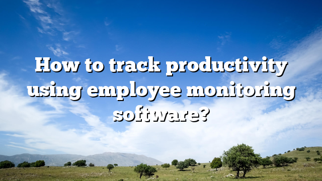 How to track productivity using employee monitoring software?