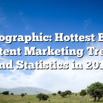 Infographic: Hottest B2B Content Marketing Trends and Statistics in 2019