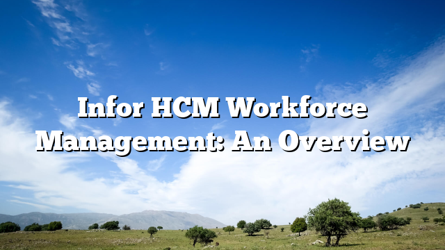 Infor HCM Workforce Management: An Overview