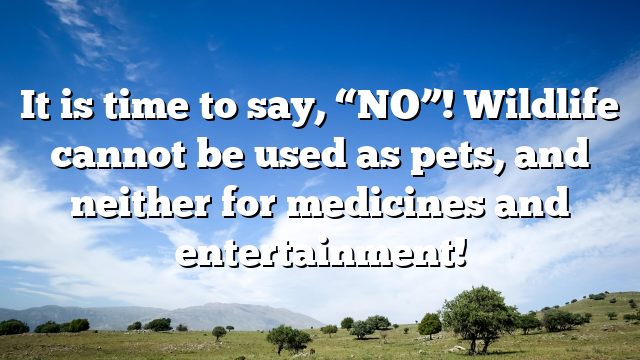 It is time to say, “NO”! Wildlife cannot be used as pets, and neither for medicines and entertainment!