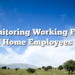 Monitoring Working From Home Employees