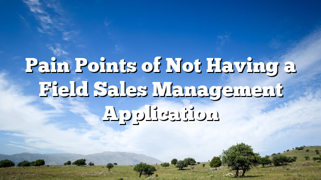 Pain Points of Not Having a Field Sales Management Application