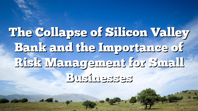 The Collapse of Silicon Valley Bank and the Importance of Risk Management for Small Businesses