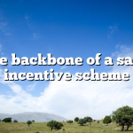 The backbone of a sales incentive scheme