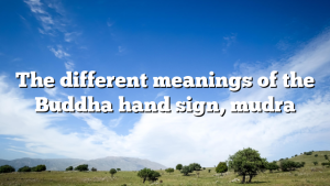 The different meanings of the Buddha hand sign, mudra