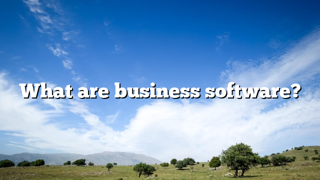 What are business software?
