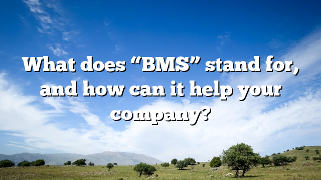What does “BMS” stand for, and how can it help your company?