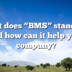 What does “BMS” stand for, and how can it help your company?