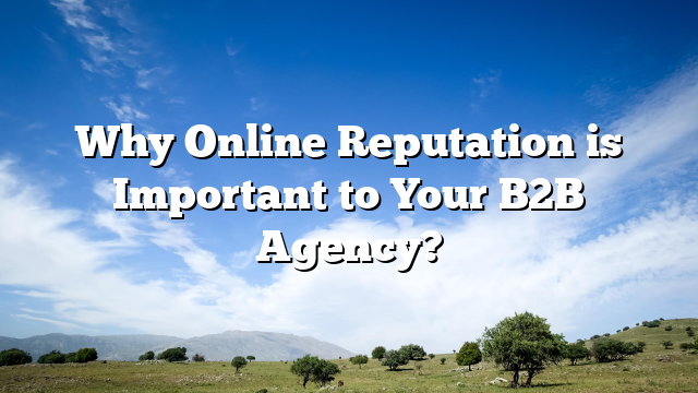 Why Online Reputation is Important to Your B2B Agency?