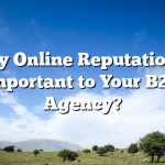 Why Online Reputation is Important to Your B2B Agency?