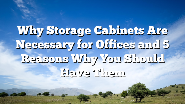 Why Storage Cabinets Are Necessary for Offices and 5 Reasons Why You Should Have Them