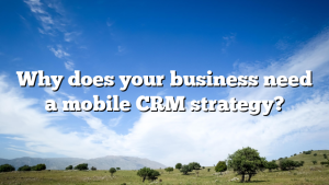 Why does your business need a mobile CRM strategy?