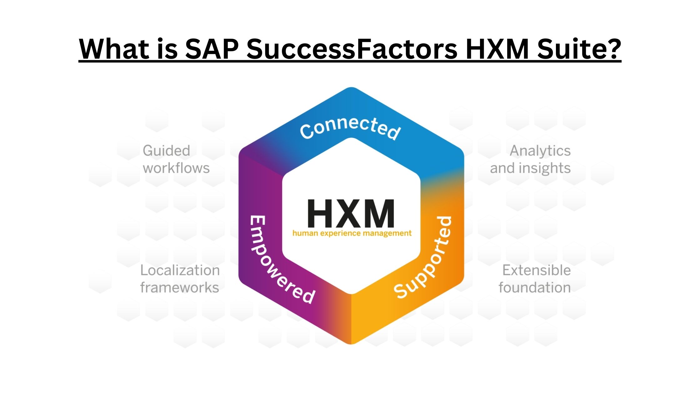 What is SAP SuccessFactors HXM Suite?