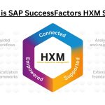 What is SAP SuccessFactors HXM Suite