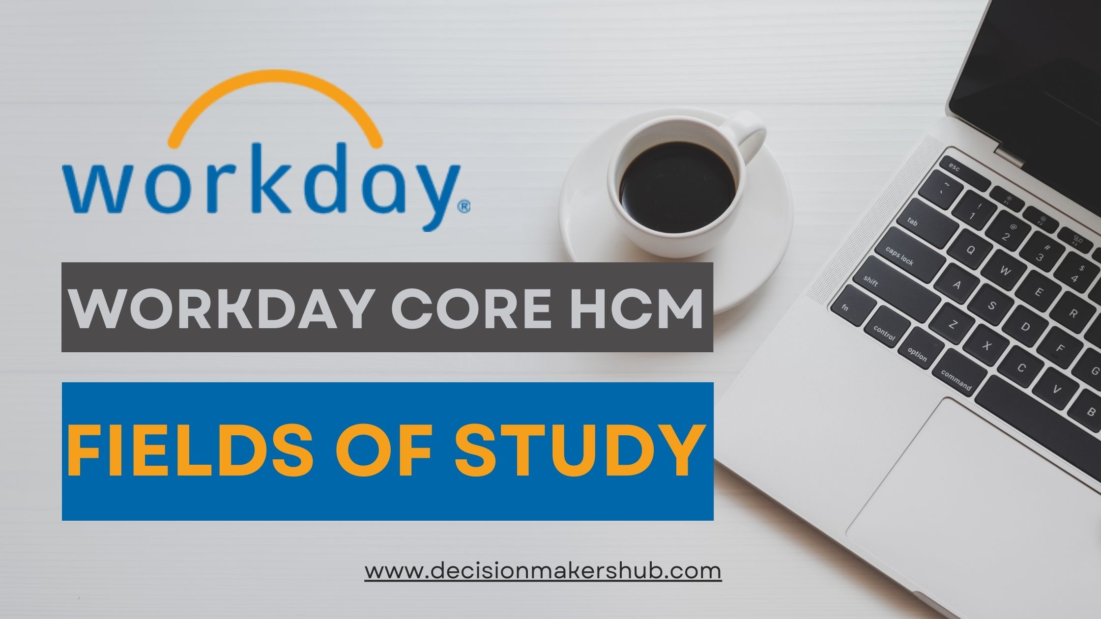 Workday Fields of Study Why They Matter and How to Maintain Them